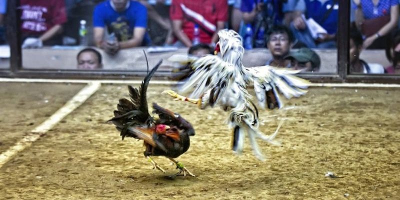 18win3 ﻿đăng nhập lô đề uy tín