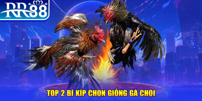 18win3 bắn cá h5