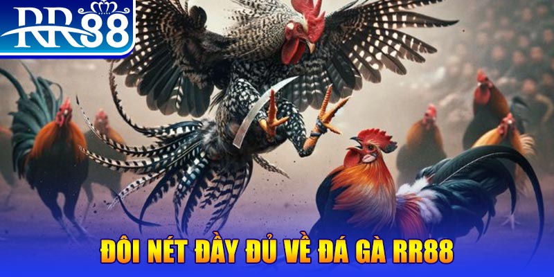 18win3 gà chọi hoà phong
