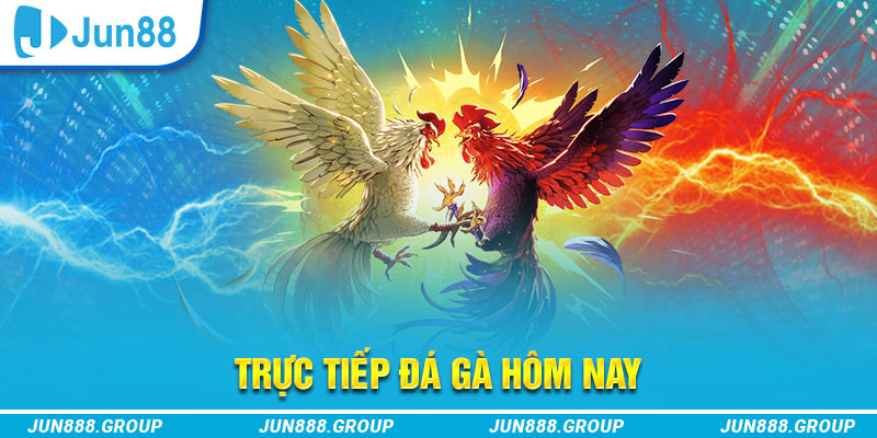 18win3 trực tiếp đá gà thomo