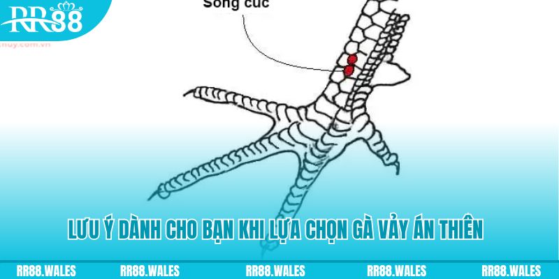 18win3 xổ số khánh hòa
