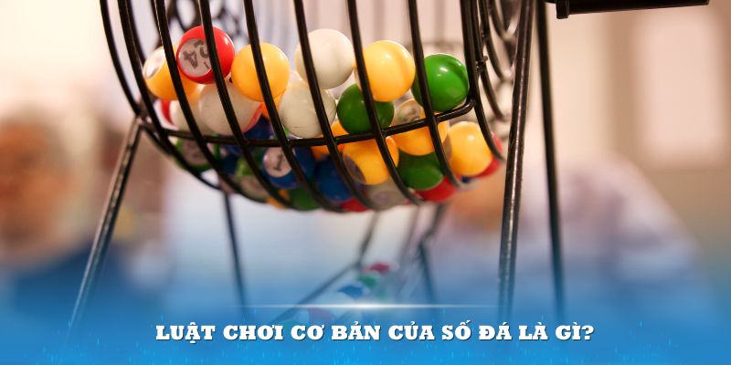 18win3 Đĩa màu ace