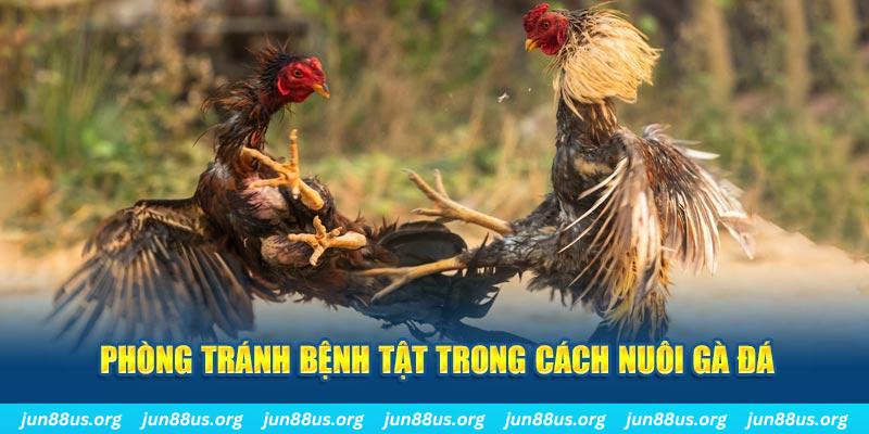 18win3 natural” trong baccarat nghĩa là gì？