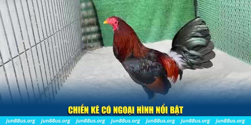 18win3 nhạc slot là gì